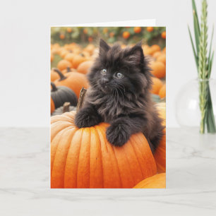 Carte Anniversaire Kitten Noir Sur Citrouille orange