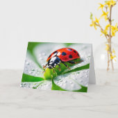 Carte Anniversaire Ladybug Sur 4 Feuille Clover (Fleur jaune)