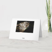 Carte anniversaire léopard cool (Dos)