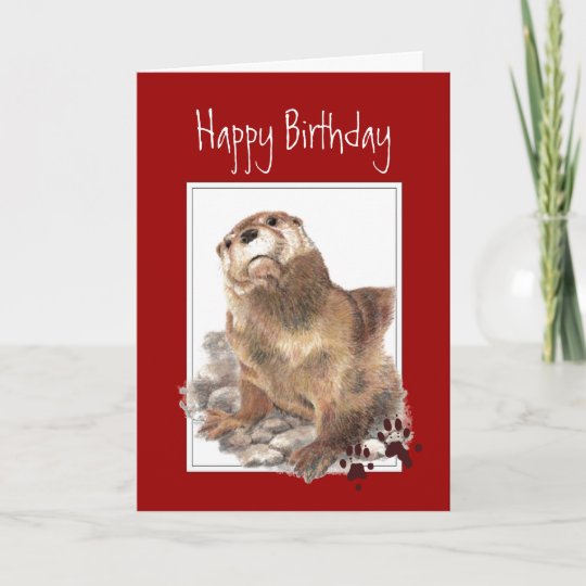 Carte Anniversaire Loutre Significative Animal Drole Zazzle Be