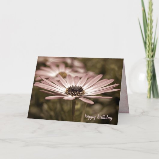 Carte Anniversaire Macro Rose Daisy (Devant)