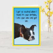 Carte Anniversaire malade Boston (Fleur jaune)