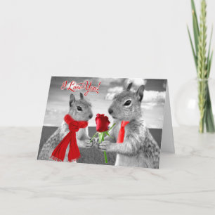 Carte Anniversaire Mariage mignon Aimer écureuil des boi
