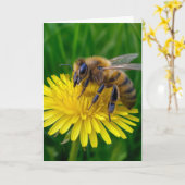 Carte Anniversaire Miel abeille sur un Dandelion Jaune (Fleur jaune)