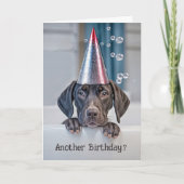 Carte Anniversaire mignon Pointeur à courte distance ave (Devant)