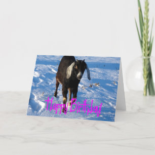 Carte Anniversaire Minnie la chèvre en neige