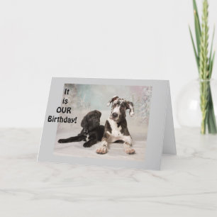 Carte anniversaire mutuel, anniversaire partagé, même an
