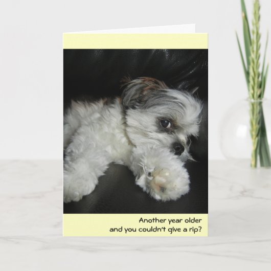 Carte Anniversaire - ne vous foutez pas ! (Devant)
