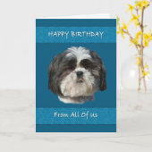 Carte Anniversaire, Nous tous, Chih Tzu Chien (Fleur jaune)