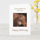 Carte Anniversaire, Orang Utan (Fleur jaune)