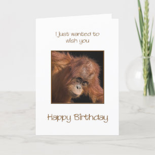 Carte Anniversaire, Orang Utan