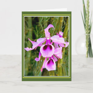 Carte Anniversaire Orchidée