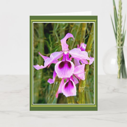 Carte Anniversaire Orchidée (Devant)