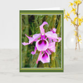 Carte Anniversaire Orchidée (Fleur jaune)