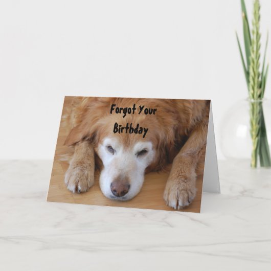 Carte Anniversaire - Oublié votre anniversaire (Devant)