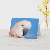 Carte Anniversaire parlant sérieusement (Fleur jaune)