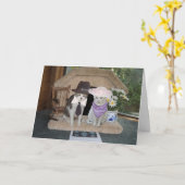 Carte Anniversaire personnalisable de chats amusants (Fleur jaune)