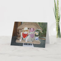 Anniversaire personnalisable de chats amusants