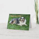 Carte Anniversaire-personnaliser tardive<br><div class="desc">Le duc d'Ol était le chien et le papa de mon papa corrompus lui putréfié avec des biscuits. Les bergers australiens font les compagnons merveilleux. Employez le sentiment à l'intérieur ou changez en vos mots avec mon modèle facile.</div>