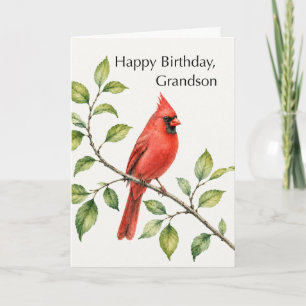 Carte Anniversaire Petit-Fils Cardinal Rouge sur Branche