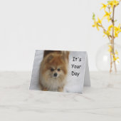 CARTE ANNIVERSAIRE POMERANIEN REMERCIE (Fleur jaune)