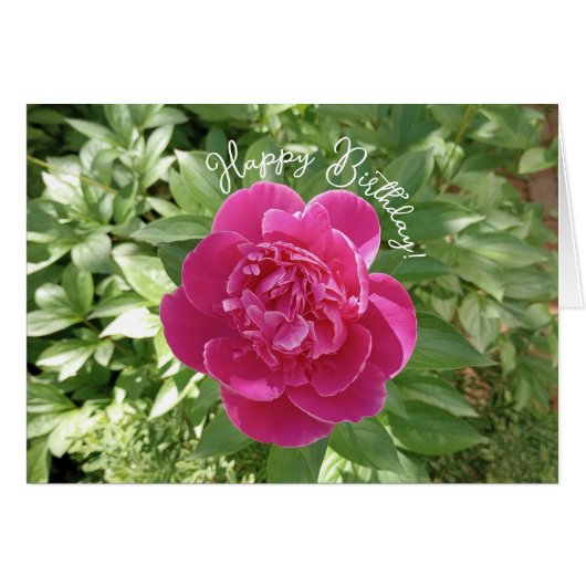 Carte Anniversaire Pony Rose Vibrant (Devant horizontal)