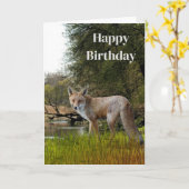 Carte Anniversaire pour hommes Renard rouge Faune et Nat (Fleur jaune)