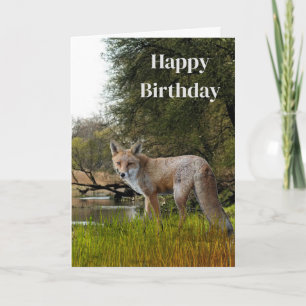 Carte Anniversaire pour les hommes Renard roux faune et 