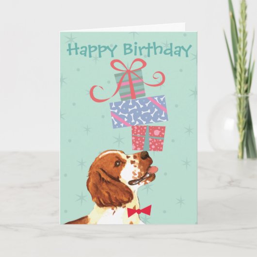 Carte Anniversaire présente Welsh Springer Spaniel (Devant)