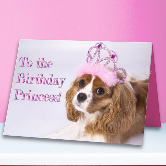 Carte Anniversaire Princess Cavalier King Charles