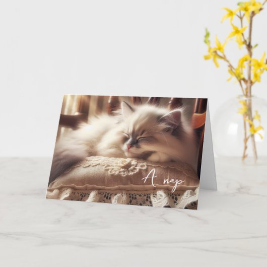 Carte Anniversaire Ragdoll Kitten Sur Coussin (Fleur jaune)