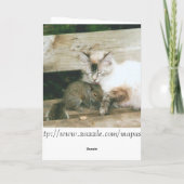 Carte Anniversaire Relax (Dos)