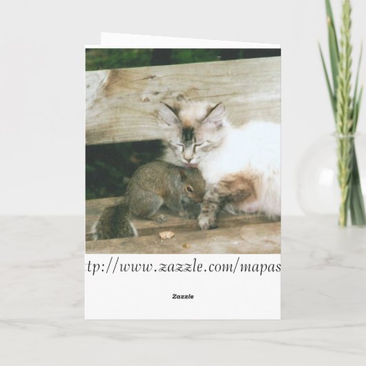 Carte Anniversaire Relax (Dos)