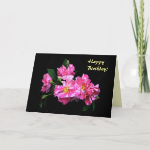 Carte Anniversaire Rose rayé