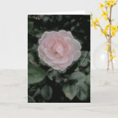 Carte Anniversaire rose simple (Fleur jaune)