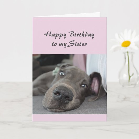 Carte Anniversaire Soeur Fun Chien définition de Relax H (Petite plante)