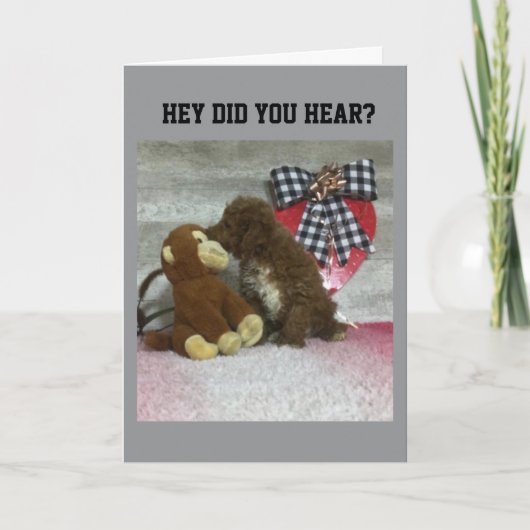 CARTE ANNIVERSAIRE SOUHAITE À QUELQU'UN DE SPÉCIAL! (Devant)