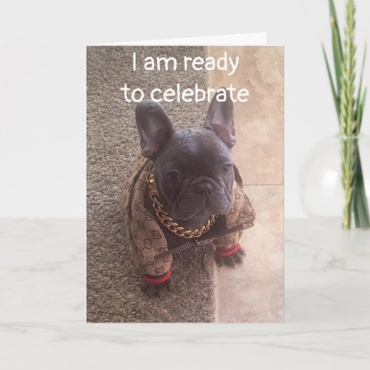 CARTE ANNIVERSAIRE SOUHAITE D'UN CHIEN COOL (Devant)