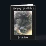 CARTE ANNIVERSAIRE SOUHAITE **GRANDSON**<br><div class="desc">AVEZ DU PLAISIR D'ENVOYER OU DE DONNER CETTE CARTE POUR IL AIMERA RECEVOIR CETTE CARTE DE "VOUS",  SÛR. J'ADORE CETTE LIGNE DE CARTES ET J'AI MERCI D'ARRÊTER PAR 1 DE MES 8 MAGASINS.</div>