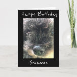 CARTE ANNIVERSAIRE SOUHAITE **GRANDSON**<br><div class="desc">AVEZ DU PLAISIR D'ENVOYER OU DE DONNER CETTE CARTE POUR IL AIMERA RECEVOIR CETTE CARTE DE "VOUS",  SÛR. J'ADORE CETTE LIGNE DE CARTES ET J'AI MERCI D'ARRÊTER PAR 1 DE MES 8 MAGASINS.</div>