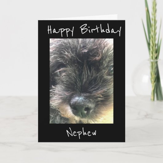 CARTE ANNIVERSAIRE SOUHAITE **NEPHEW** CARD (Devant)