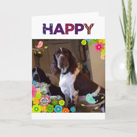 CARTE ANNIVERSAIRE SOUHAITEZ AVEC UNE **SURPRISE À L'INT (Devant)