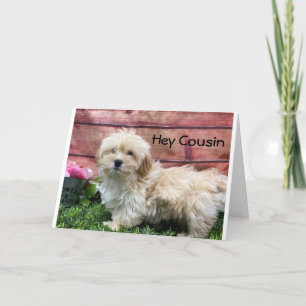 CARTE ANNIVERSAIRE SOUHAITEZ "COUSIN" & "BEST AMI" CARD