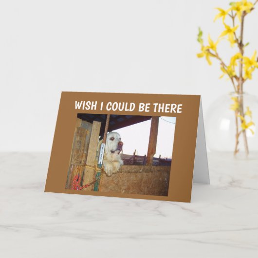 CARTE ANNIVERSAIRE - SOUHAITEZ QUE JE POURRAIS **ÊTRE LÀ (Fleur jaune)