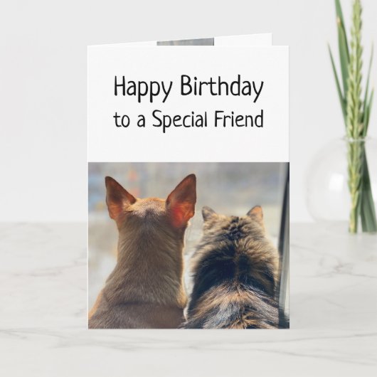 Carte Anniversaire Souhaits Spécial Ami Cute Animaux Ani (Devant)