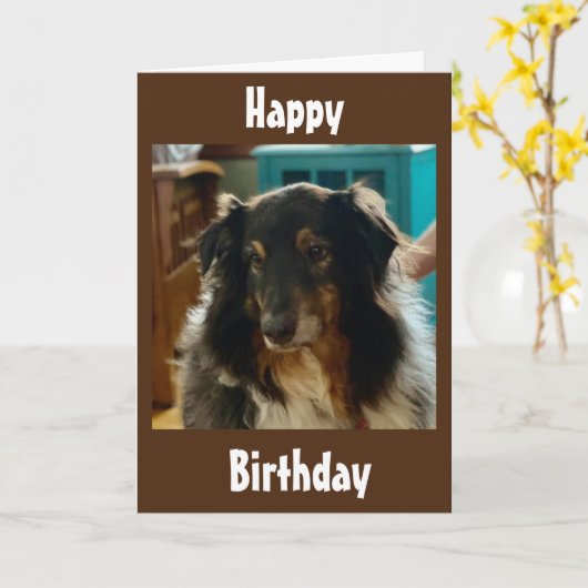 CARTE ANNIVERSAIRE SPÉCIAL SOUHAITE D'UNE PUPPY SPÉCIALE (Fleur jaune)