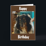 CARTE ANNIVERSAIRE SPÉCIAL SOUHAITE D'UNE PUPPY SPÉCIALE<br><div class="desc">QUELQU'UN QUE VOUS CONNAISSEZ A UN ANNIVERSAIRE ET ILS AIMENT LES POPIES ET JE PENSE QU'ILS AIMERONT CETTE CARTE !
N'OUBLIEZ PAS QUE VOUS POUVEZ CHANGER LE VERS À L'AVANT ET À L'INTÉRIEUR DE MES CARTES !!!  MERCI D'AVOIR ARRÊTÉ PAR L'UN DE MES HUIT MAGASINS !</div>