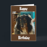 CARTE ANNIVERSAIRE SPÉCIAL SOUHAITE D'UNE PUPPY SPÉCIALE<br><div class="desc">QUELQU'UN QUE VOUS CONNAISSEZ A UN ANNIVERSAIRE ET ILS AIMENT LES POPIES ET JE PENSE QU'ILS AIMERONT CETTE CARTE !
N'OUBLIEZ PAS QUE VOUS POUVEZ CHANGER LE VERS À L'AVANT ET À L'INTÉRIEUR DE MES CARTES !!!  MERCI D'AVOIR ARRÊTÉ PAR L'UN DE MES HUIT MAGASINS !</div>