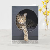 Carte anniversaire tabby cat (Fleur jaune)