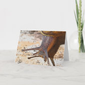 Carte Anniversaire tardif de snail mail (Dos)